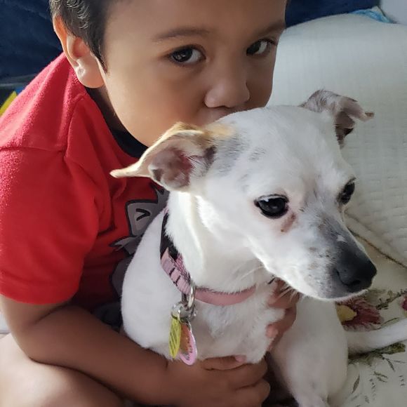 Meet your Posher, Maria - Picture 1 of 1